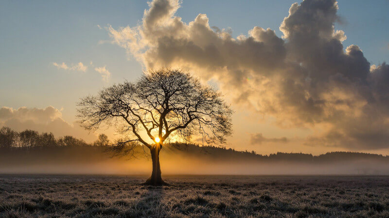 Sinnspruch über Neue Wege gehen